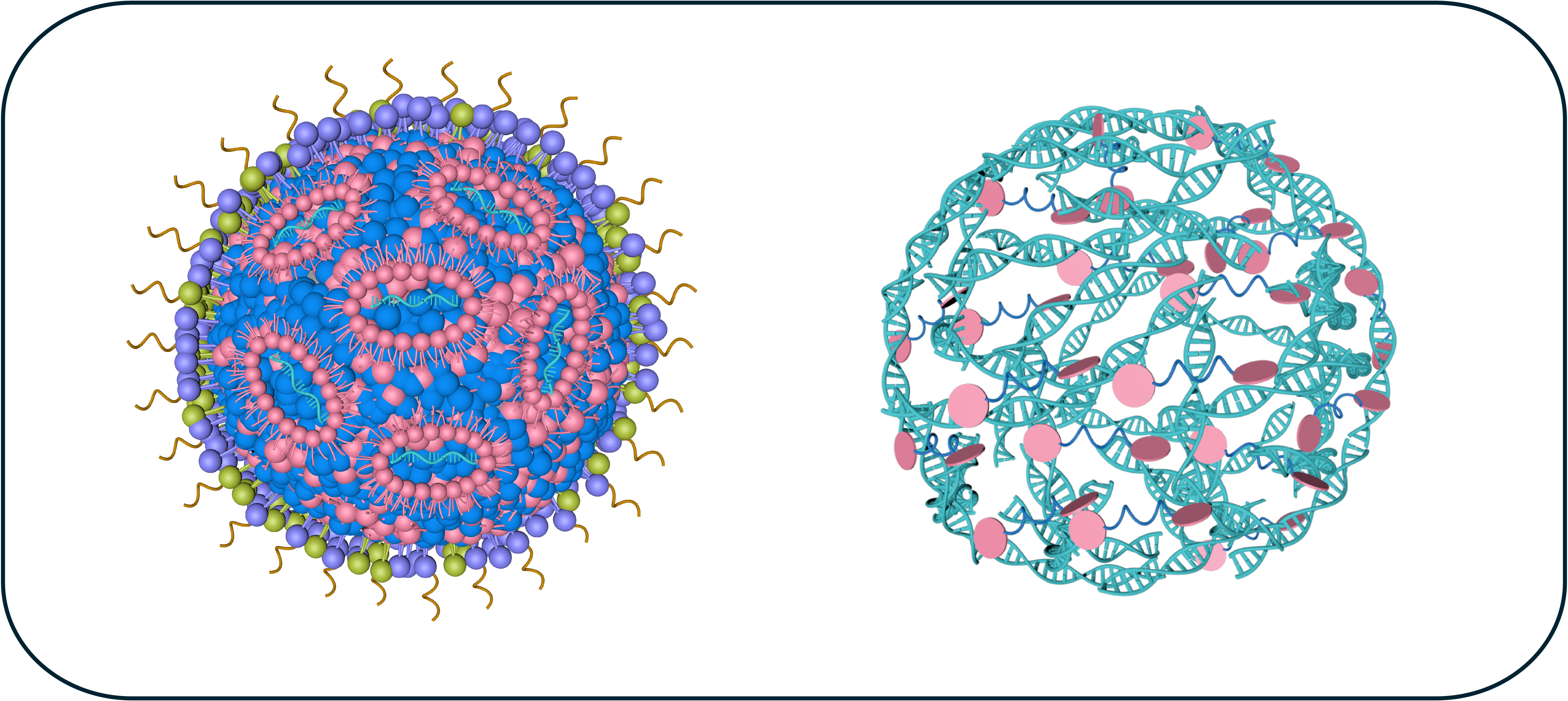 RNA therapeutics platform